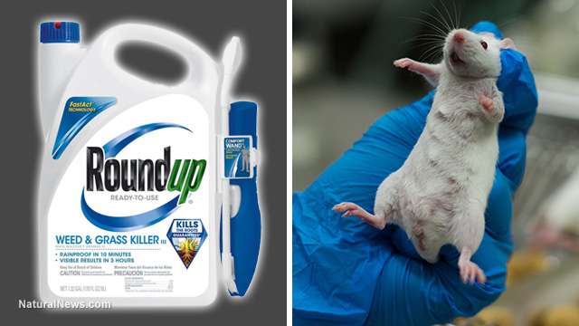 Roundup