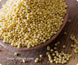 Couscous